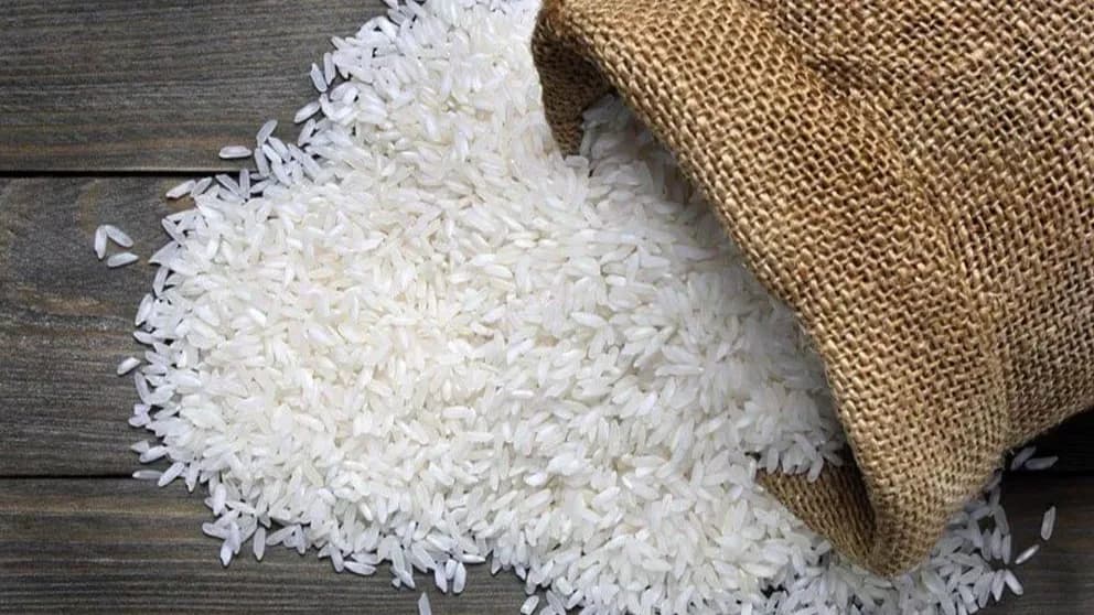 معرفی برنج دم سیاه