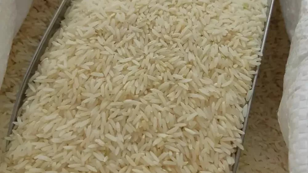 برنج صدری هاشمی بازرگانی برنج عدلی